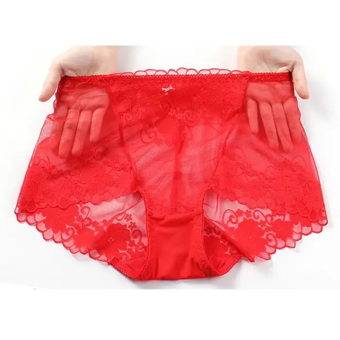 Grande taille taille haute culottes femmes sous-vêtements Sexy dentelle slips transparents grande culotte femme caleçon grande taille Lingerie L-4XL