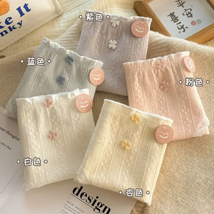 5 pièces jolie fille culottes dentelle douce respirant slips femmes sous-vêtements