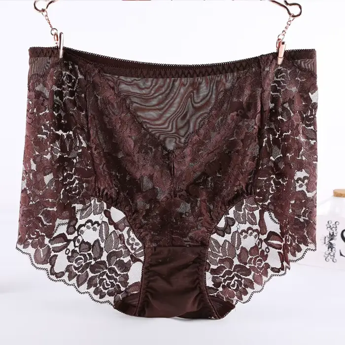Culotte taille haute en dentelle pour femme, sous-vêtement Sexy, grande taille, Lingerie en maille,