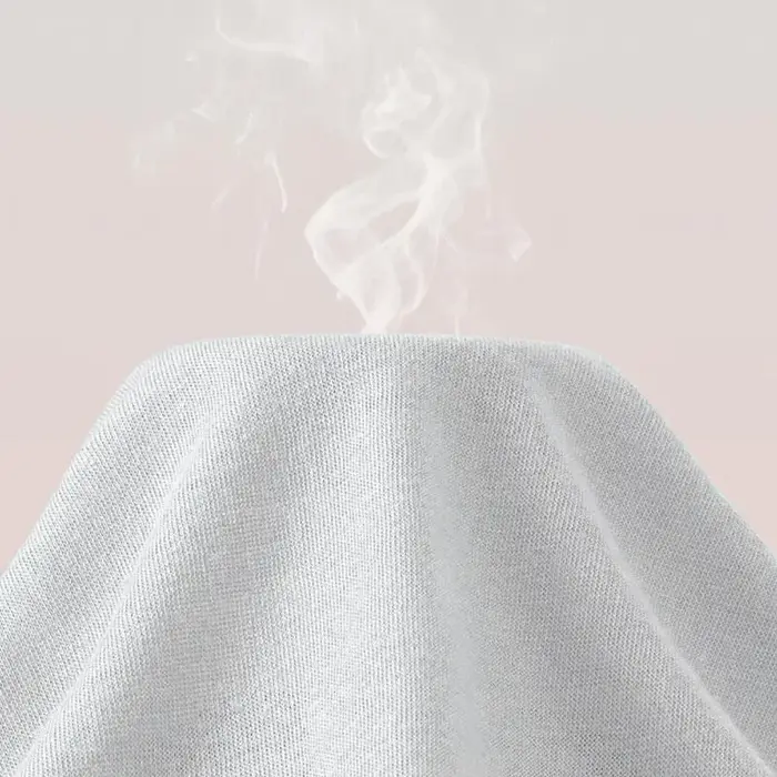 5 pièces/ensemble femmes coton jetable Pantie lavage libre Portable post-partum mensuel Shorts sous-vêtements quotidiens pour les voyages d'affaires